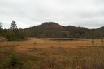 Råhaugen