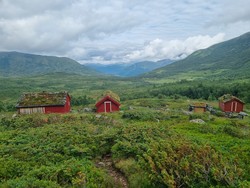 Søstestøylen