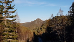 Skinseten
