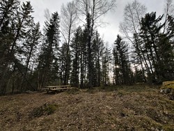 Låveggsåsen