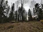 Låveggsåsen