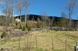 Sørgardhaugen