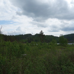 Langreås