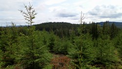 Styggberget