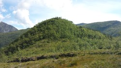 Storvasshaugen