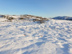 Staverheia