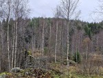 Mellomsagåsen
