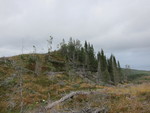 Blåberga