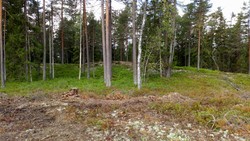 NØ for Jultonstua