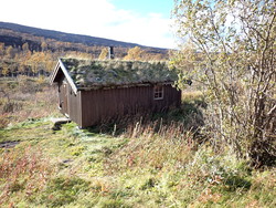 Bukkhaugbua