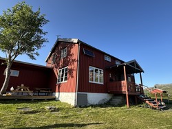 Måsvassbu