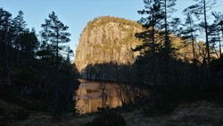 Kallvikanipa