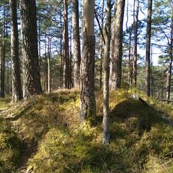Stemåsen