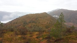 Purka