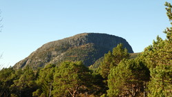Litlkopparen