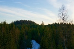 Andtjernhøgda