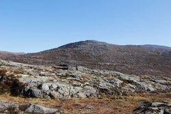 Bjørnhovda