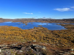 Høsbekkhøgda