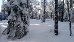 Knavlberget trig.punkt