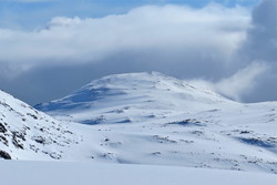 Søverhøi