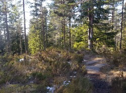 Lille Haukåsen