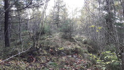 Snauhaugen