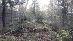 Snauhaugen