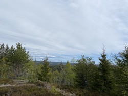 Råsås