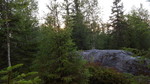 Kinnhøgda