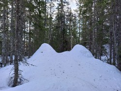 Knepphaugen