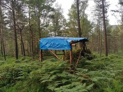 Ryggjahaugen