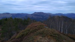 Gunnarbufjellet