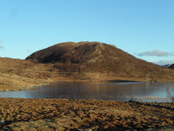 Dyranuten