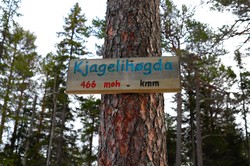 Kjagelihøgda