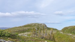 Skriutjennatten