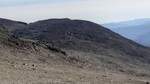 Skogshorn Vest