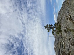 Hegrefjell