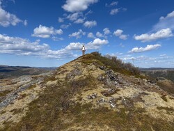 Hesten nord