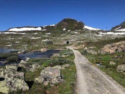 Vetle Finsenuten