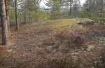 Liåsen