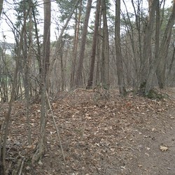 Dronningberget