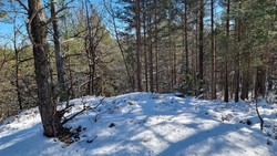 Fløyheia