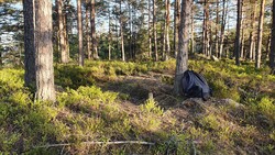 Elgskauåsen