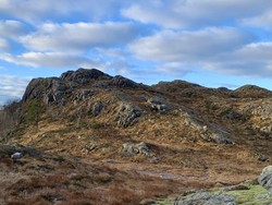 Høgeknuten