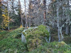 Sovarodden