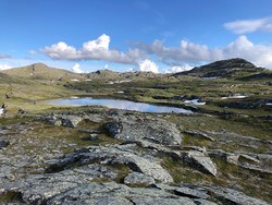 Brattskarven N