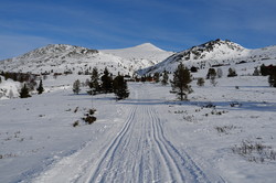 Digervardin