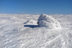 Saltpytteggi