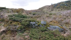 Fjeldglimt (ruin)