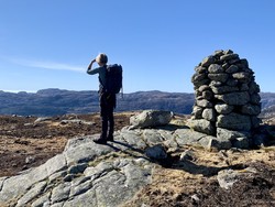 Grønhei